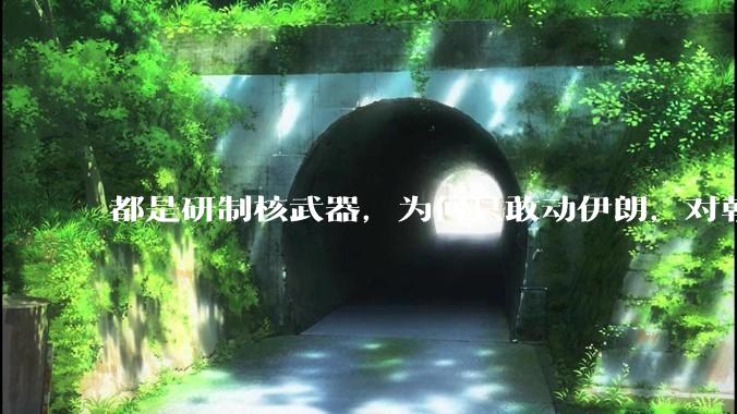 都是研制核武器，为何只敢动伊朗，对朝鲜确畏首畏尾？