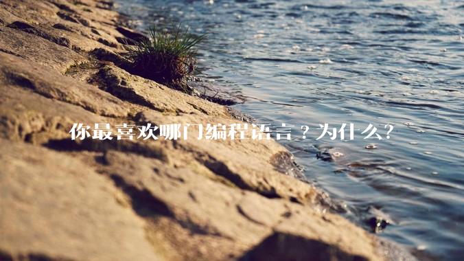 你最喜欢哪门编程语言?为什么？