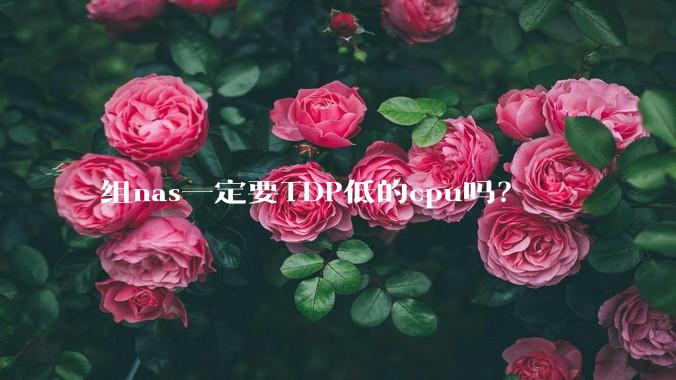 组nas一定要TDP低的cpu吗？